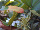DSC09593