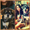 selena-gomez-dog-grown-up-05