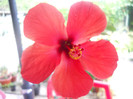 DSCN3197