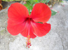 DSCN3198