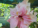 DSCN3219