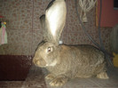 IMG_20120822_201339