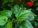 DSCN8543
