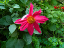 DSCN8563