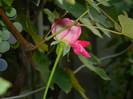 DSCN8566