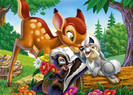 Imagini Bambi si prietenii iepurasul Bocanila, sconcsul Flower, pasarele, veverite  - 1