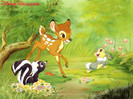 Imagini Bambi si prietenii iepurasul Bocanila, sconcsul Flower, pasarele, veverite  - 6