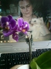 23 august 2012-flori 026