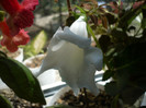 P1170628
