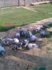 IMAG0089