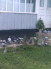 IMAG0095