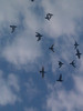 IMAG0102