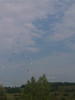 IMAG0105
