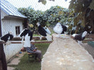 DSC09788