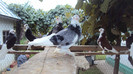 DSC09800