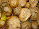 Physalis peruviana, comestibil