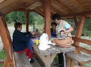 Picture 4234