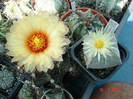 DSC00238