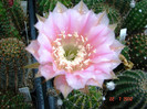 DSC00251