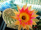 DSC00253