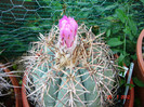DSC00263