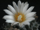 DSC07777