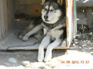 24.08.2012 174