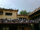 2012-08-22-754