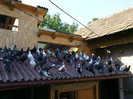 2012-08-23-755