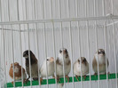 DSCN3357