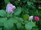 DSCN8583