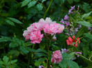 DSCN8592