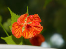 DSCN8612