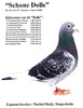 schone_dolle