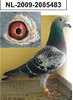 nl-2009-2085483 tatal