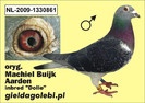 nl-2009-1330861-c