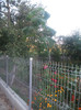 DSCF4935