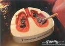 images (3)