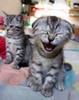 images (9)