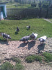 IMAG0026