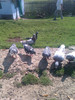 IMAG0027