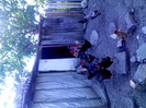 IMG00456