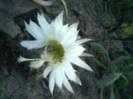 Fotografii-0015