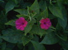 Fotografii-0022
