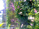IMG00224