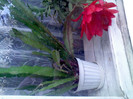 IMG00302
