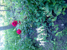 IMG00326