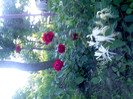 IMG00328