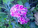IMG00331