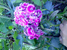 IMG00332